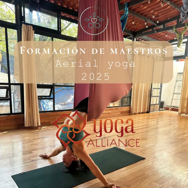 Aerial Yoga Teacher Training Advert